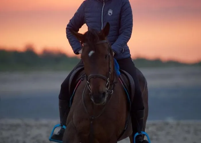 Sielsko Anielsko Konukevi Salino