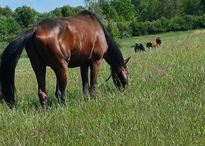 Konukevi Sielsko Anielsko 3*