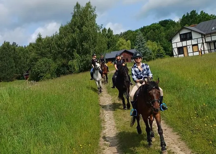 Sielsko Anielsko Salino