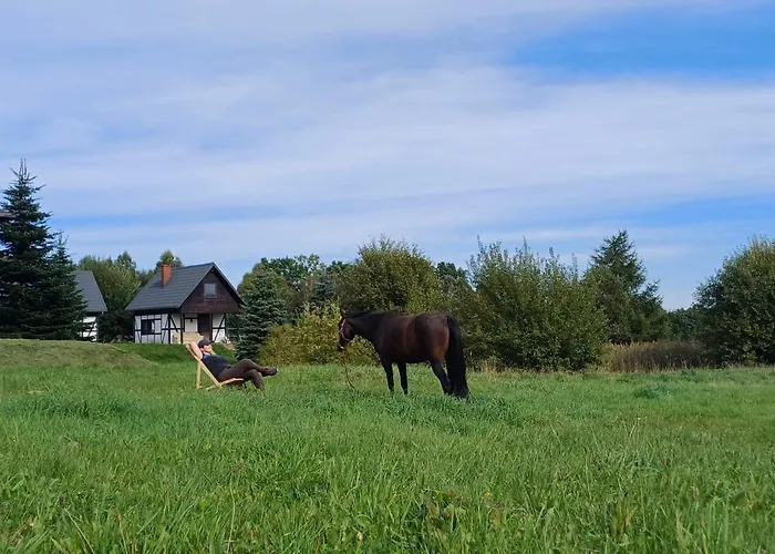 Sielsko Anielsko Salino